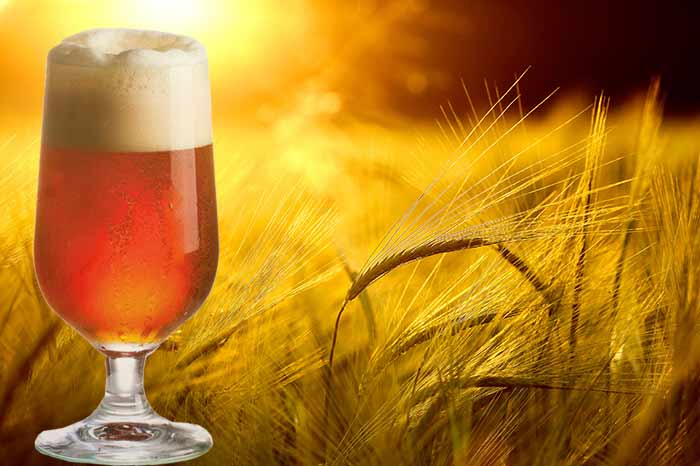 Barley Wein - komplexer Biergeschmack für anspruchsvolle Biertrinker