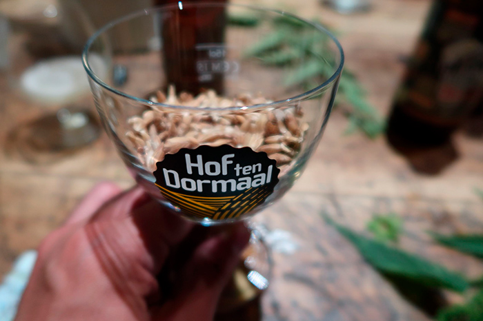 Zutaten in einem Bierkelch der Mikrobrauerei Hof ten Dormaal